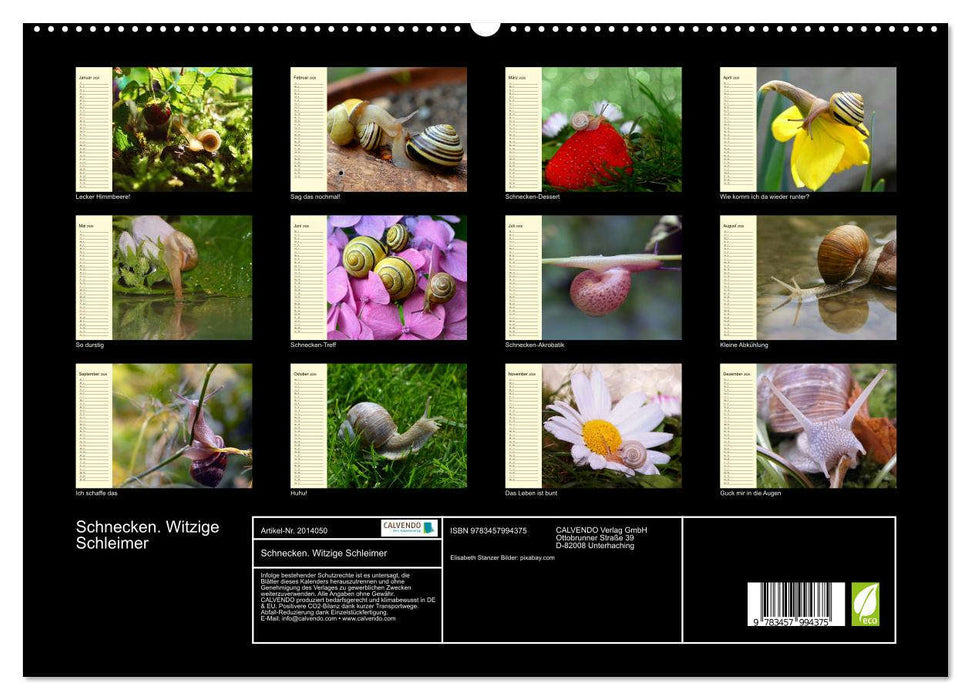 Schnecken. Witzige Schleimer (CALVENDO Premium Wandkalender 2026)