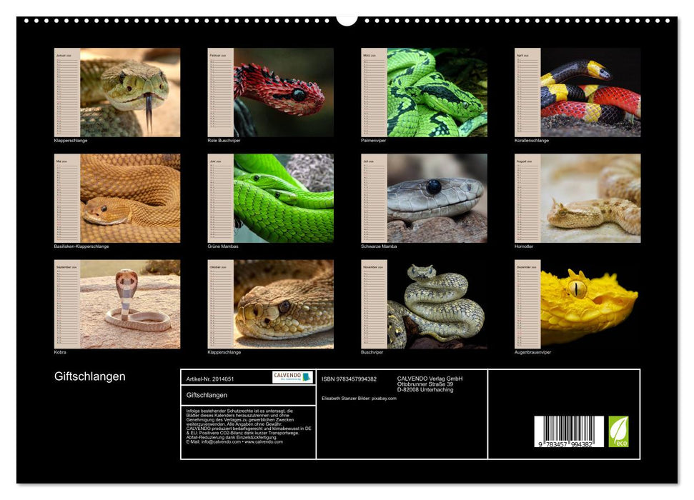 Giftschlangen (CALVENDO Premium Wandkalender 2026)