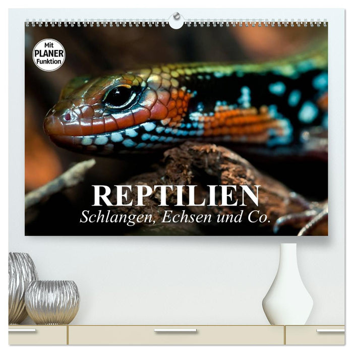 Reptilien. Schlangen, Echsen und Co. (CALVENDO Premium Wandkalender 2026)