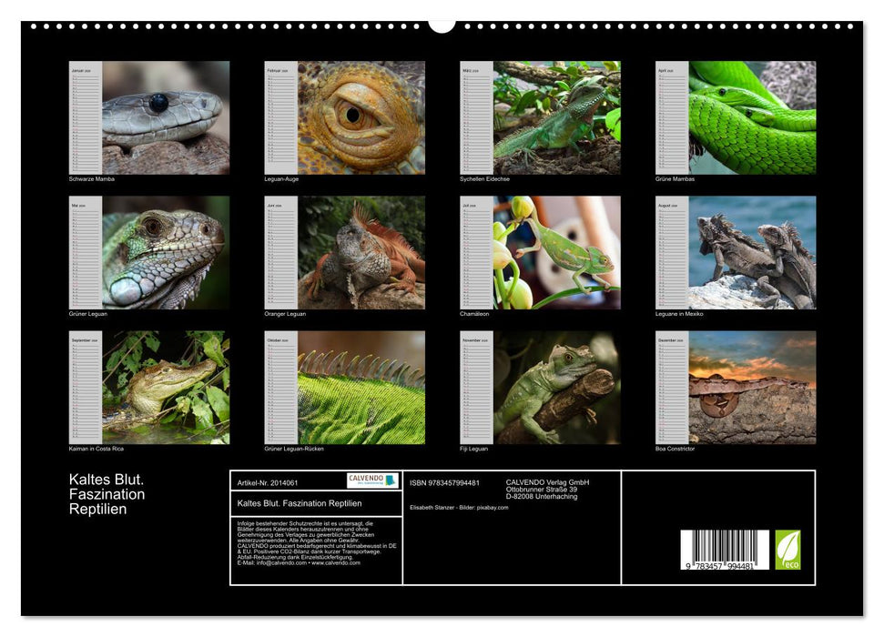 Kaltes Blut. Faszination Reptilien (CALVENDO Premium Wandkalender 2026)
