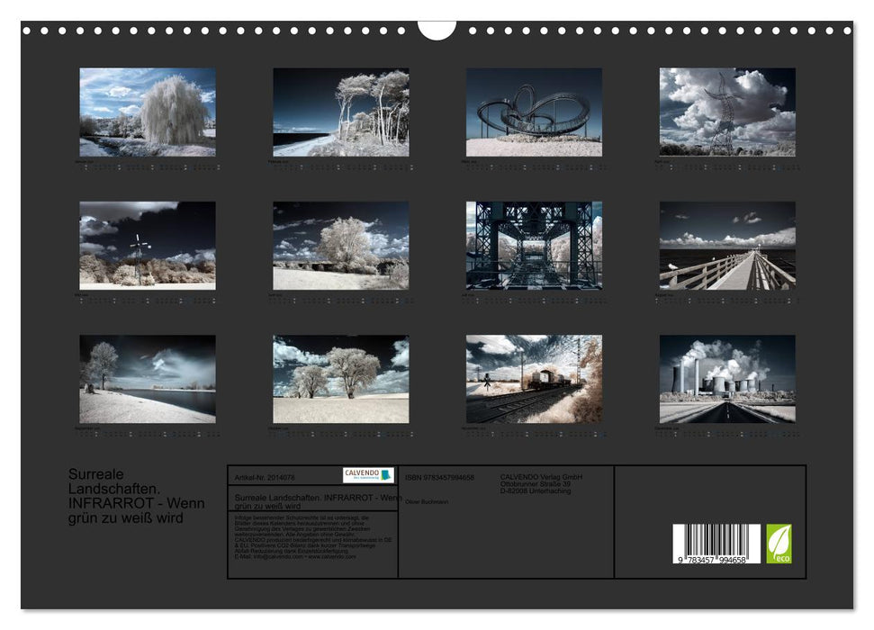 Surreale Landschaften. INFRARROT - Wenn grün zu weiß wird (CALVENDO Wandkalender 2026)