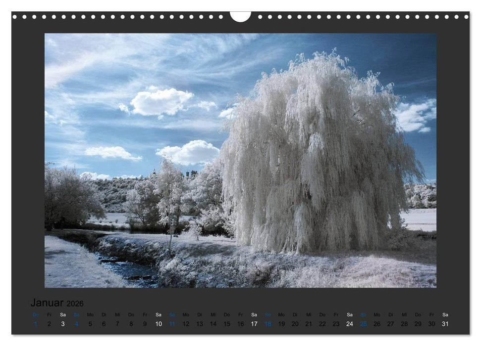 Surreale Landschaften. INFRARROT - Wenn grün zu weiß wird (CALVENDO Wandkalender 2026)