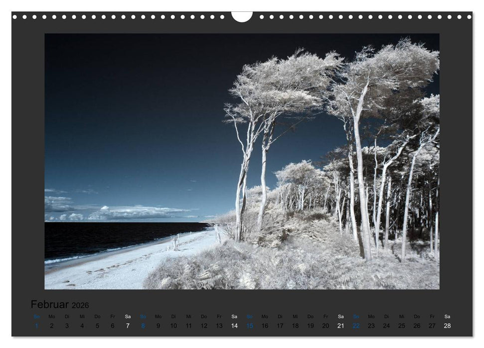 Surreale Landschaften. INFRARROT - Wenn grün zu weiß wird (CALVENDO Wandkalender 2026)