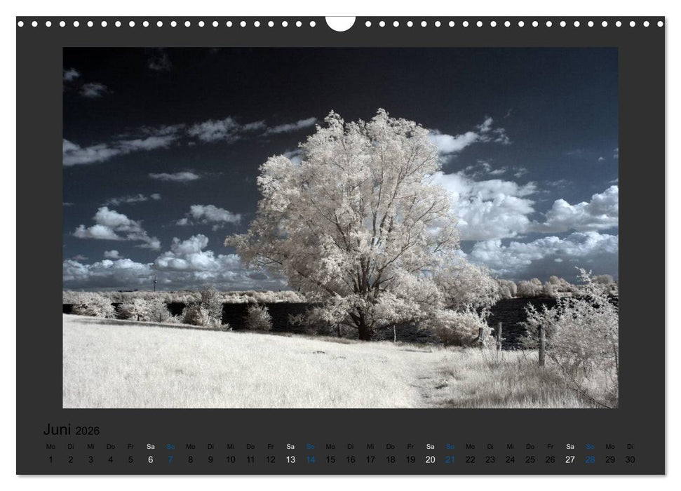 Surreale Landschaften. INFRARROT - Wenn grün zu weiß wird (CALVENDO Wandkalender 2026)