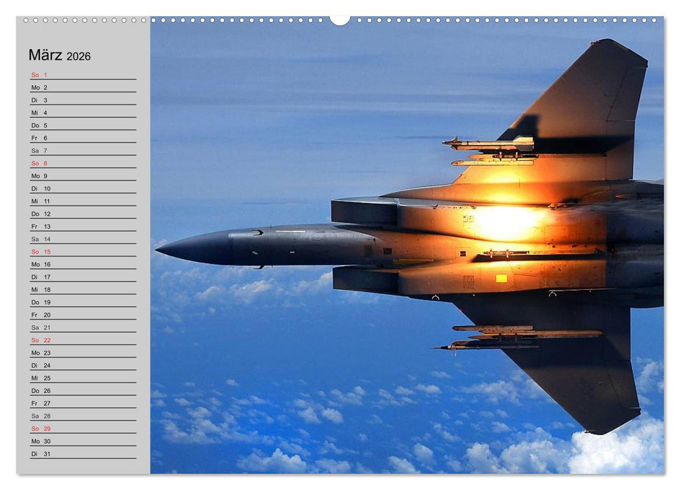 Faszination Kampfflugzeuge (CALVENDO Premium Wandkalender 2026)