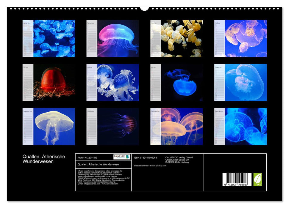 Quallen. Ätherische Wunderwesen (CALVENDO Premium Wandkalender 2026)
