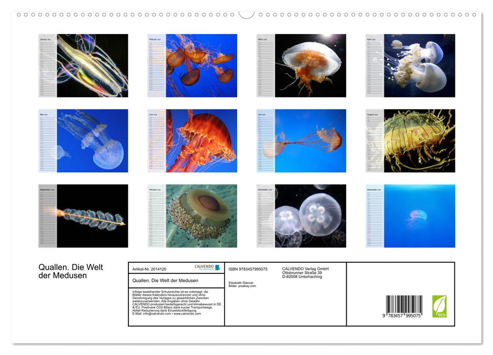 Quallen. Die Welt der Medusen (CALVENDO Premium Wandkalender 2026)