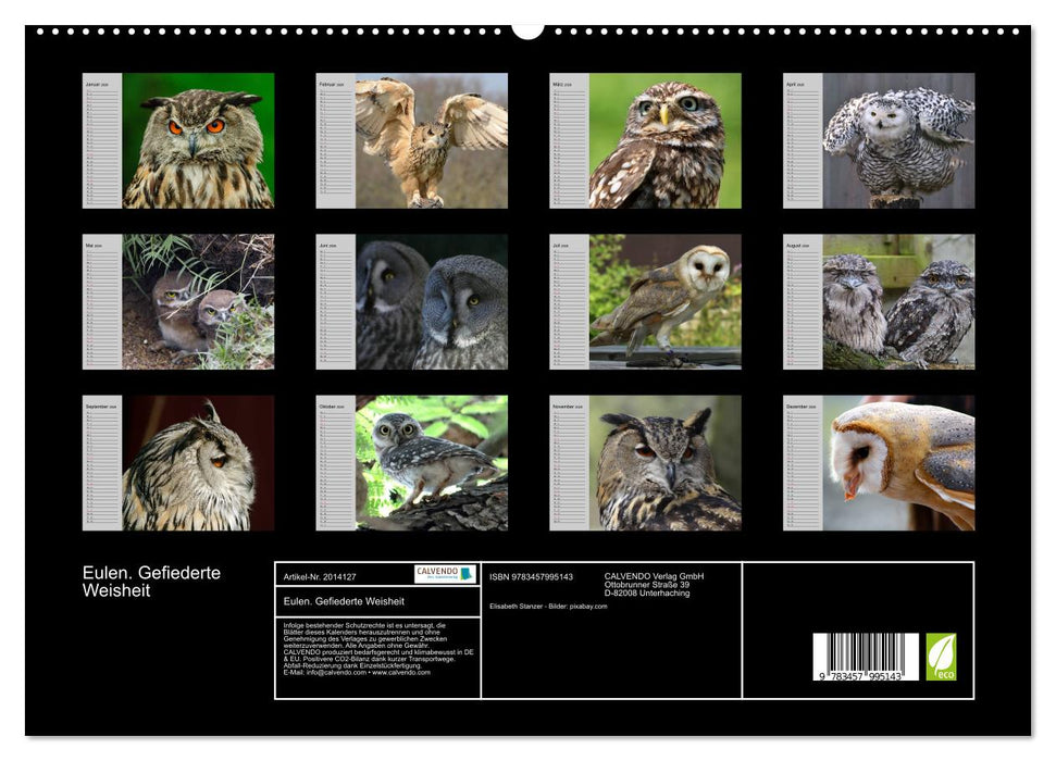Eulen. Gefiederte Weisheit (CALVENDO Premium Wandkalender 2026)