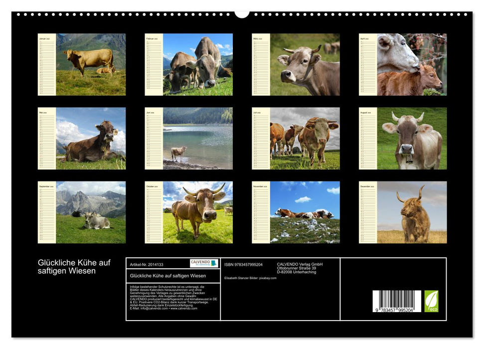 Glückliche Kühe auf saftigen Wiesen (CALVENDO Premium Wandkalender 2026)