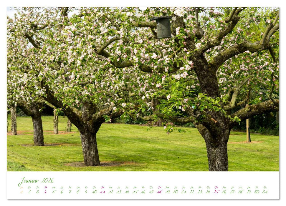 Kreislehrgarten in Steinfurt (CALVENDO Wandkalender 2026)