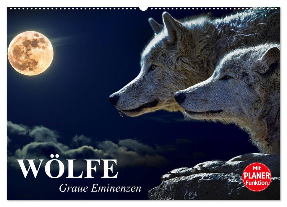 Wölfe. Graue Eminenzen (CALVENDO Wandkalender 2026)