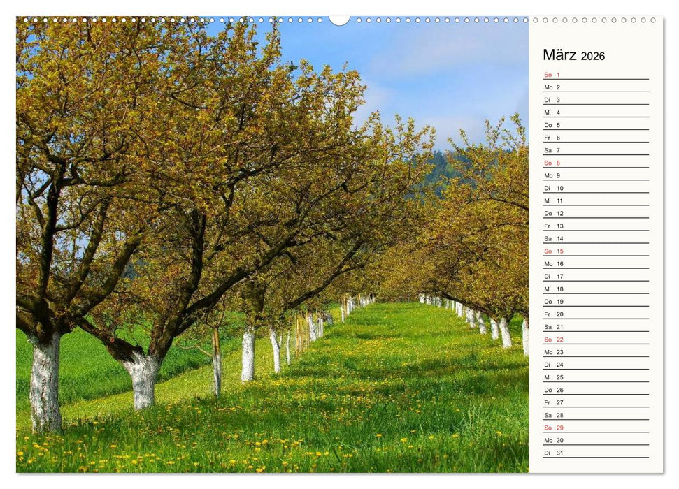 Die Wachau - An der Donau zwischen Melk und Krems (CALVENDO Premium Wandkalender 2026)