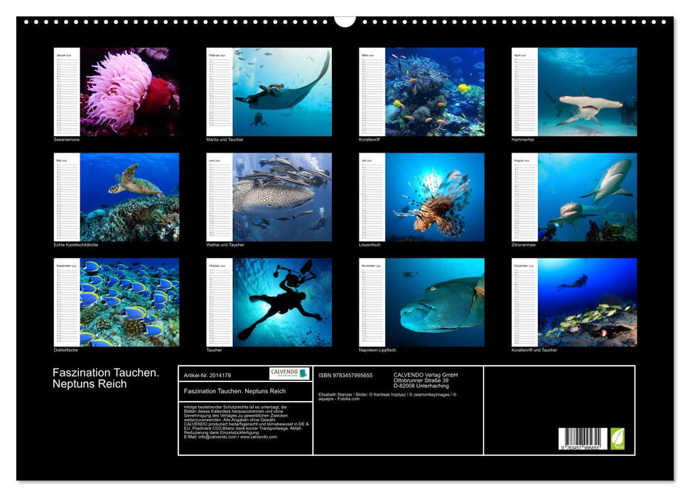 Faszination Tauchen. Neptuns Reich (CALVENDO Wandkalender 2026)
