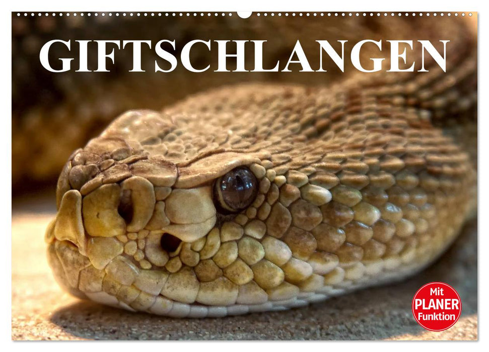 Giftschlangen (CALVENDO Wandkalender 2026)