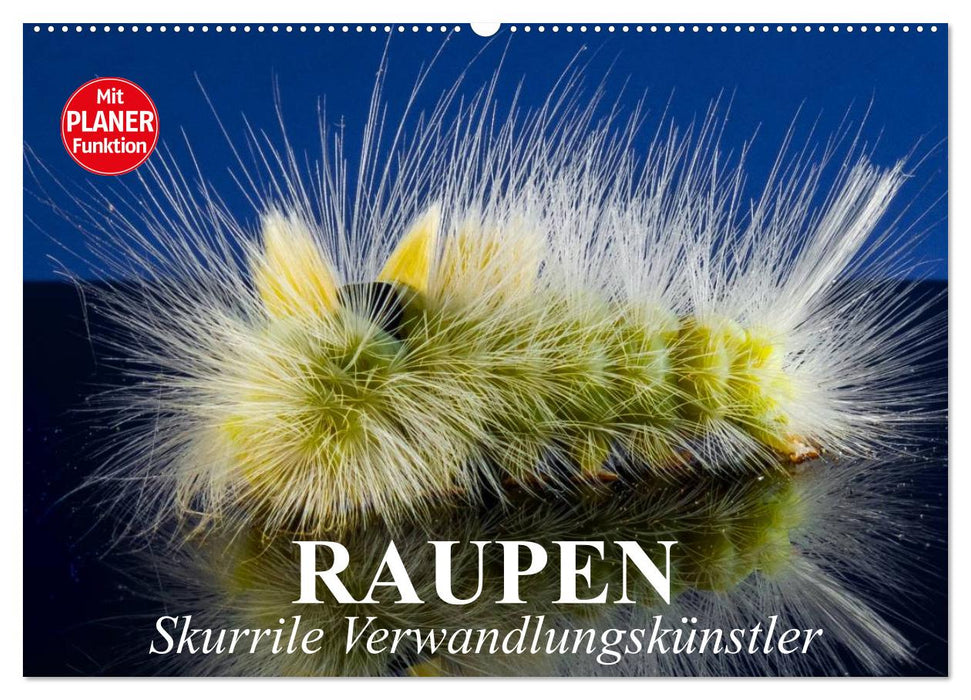 Raupen. Skurrile Verwandlungskünstler (CALVENDO Wandkalender 2026)
