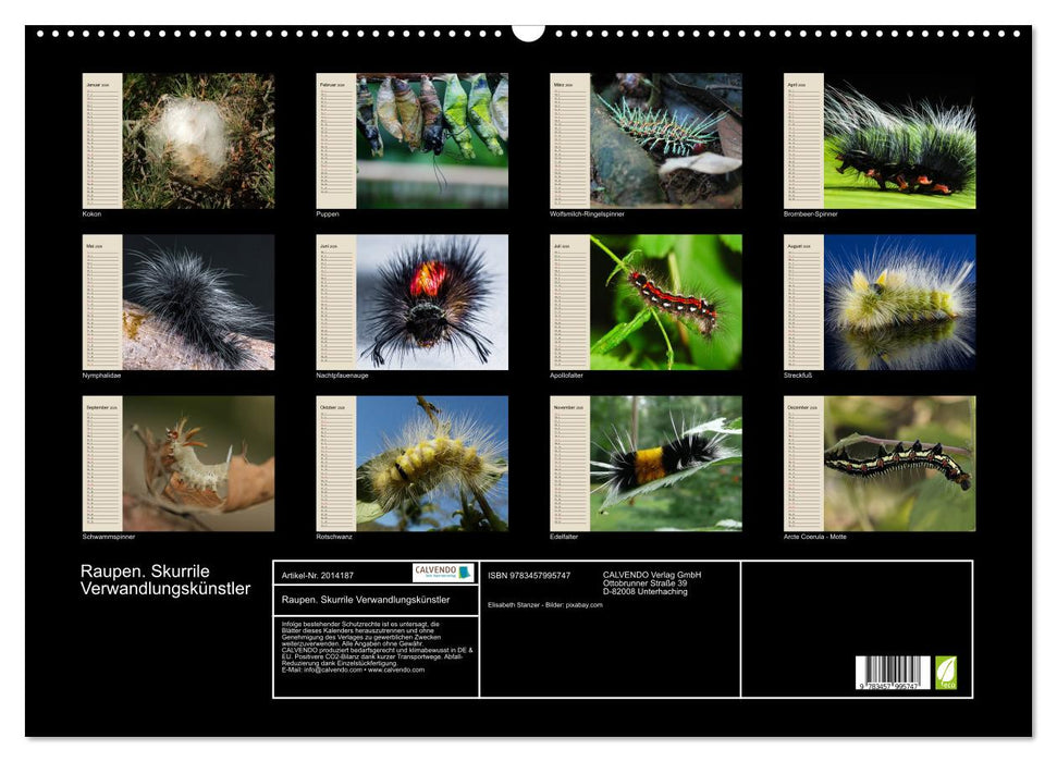Raupen. Skurrile Verwandlungskünstler (CALVENDO Wandkalender 2026)