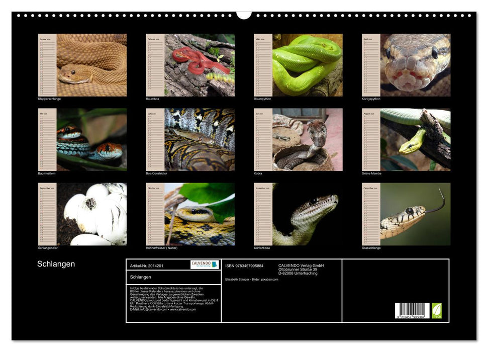 Schlangen (CALVENDO Wandkalender 2026)