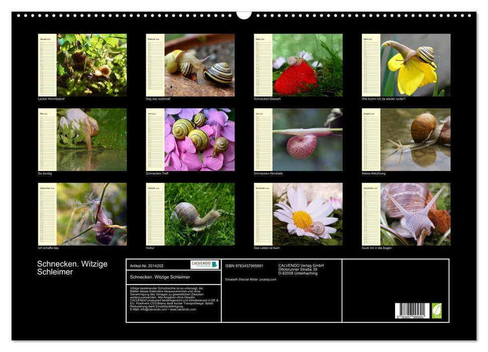 Schnecken. Witzige Schleimer (CALVENDO Wandkalender 2026)