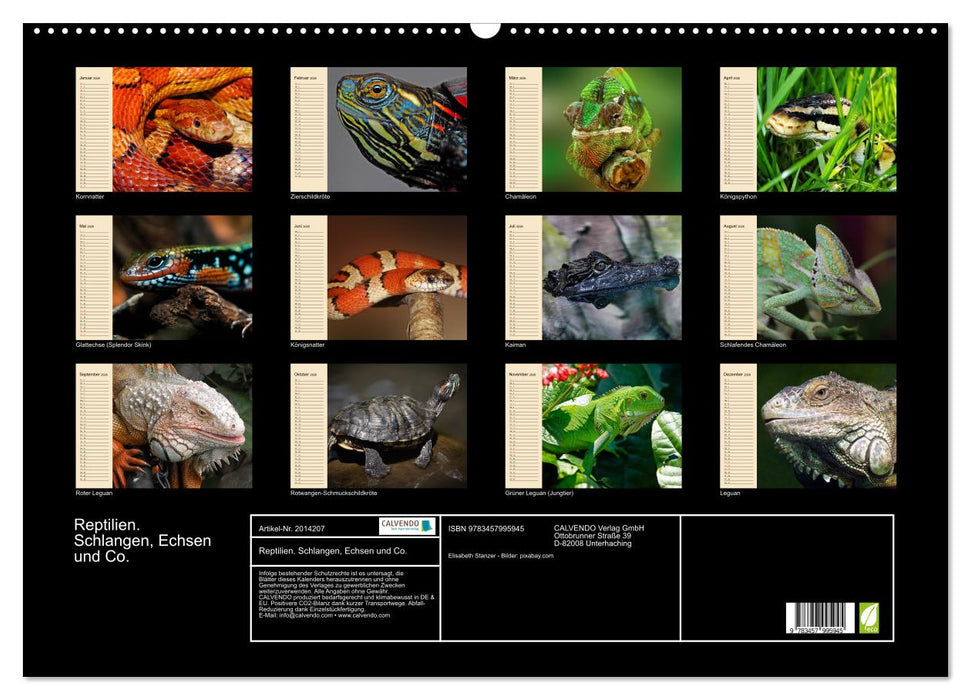 Reptilien. Schlangen, Echsen und Co. (CALVENDO Wandkalender 2026)