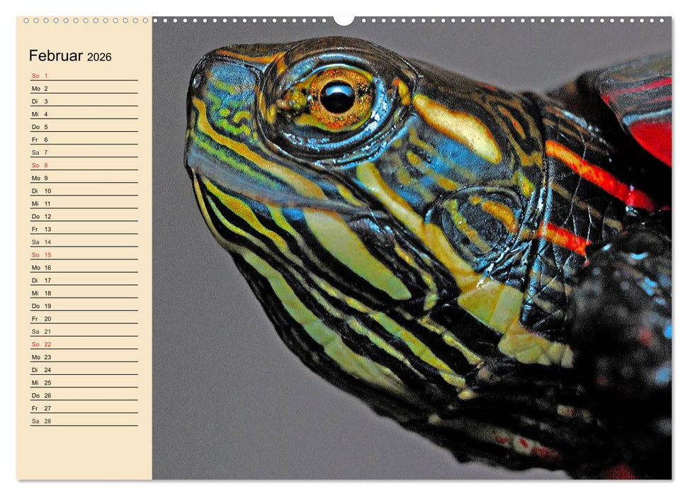 Reptilien. Schlangen, Echsen und Co. (CALVENDO Wandkalender 2026)