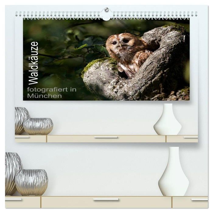 Waldkäuze, fotografiert in München (CALVENDO Premium Wandkalender 2026)
