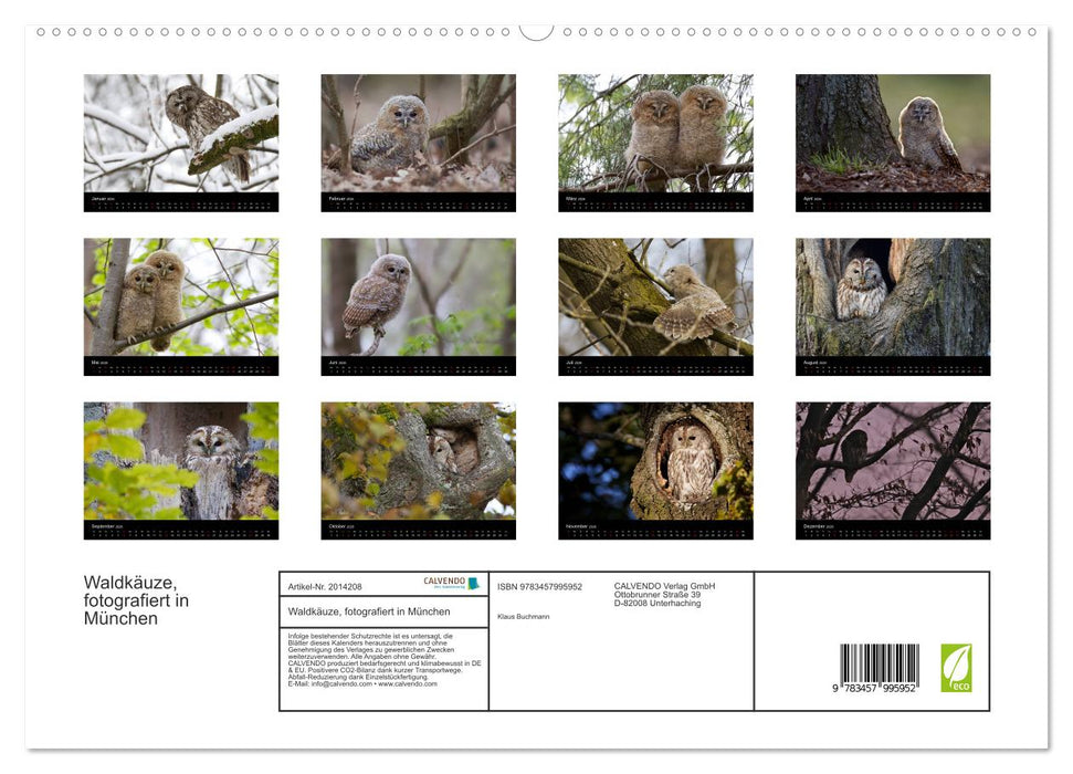 Waldkäuze, fotografiert in München (CALVENDO Premium Wandkalender 2026)