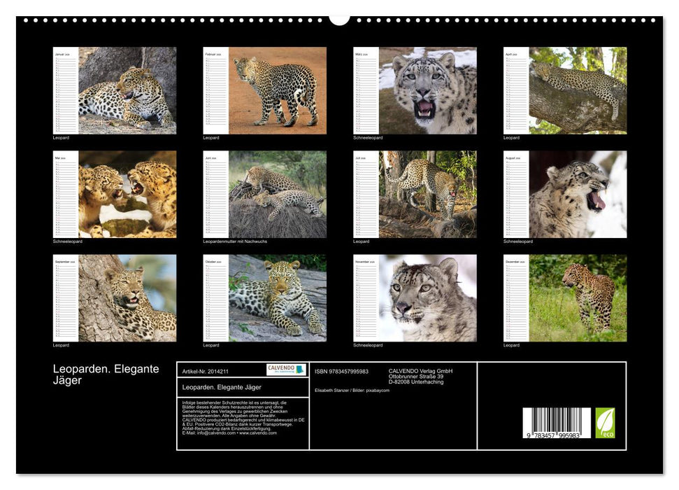 Leoparden. Elegante Jäger (CALVENDO Premium Wandkalender 2026)
