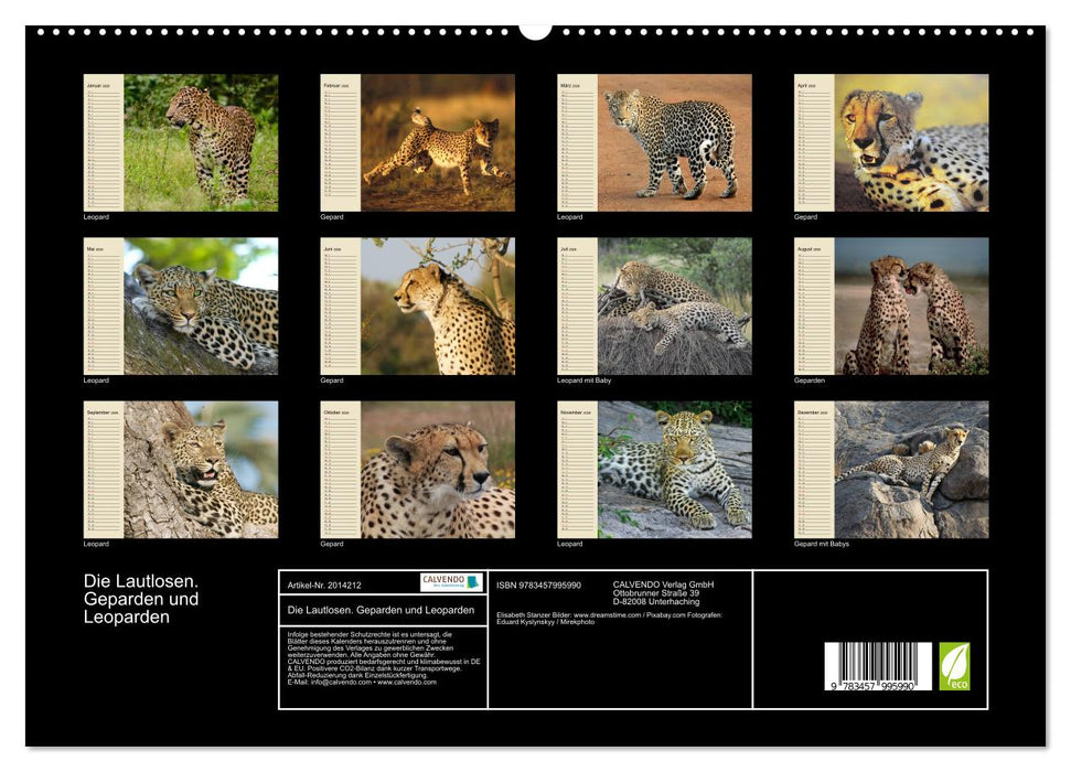 Die Lautlosen. Geparden und Leoparden (CALVENDO Premium Wandkalender 2026)