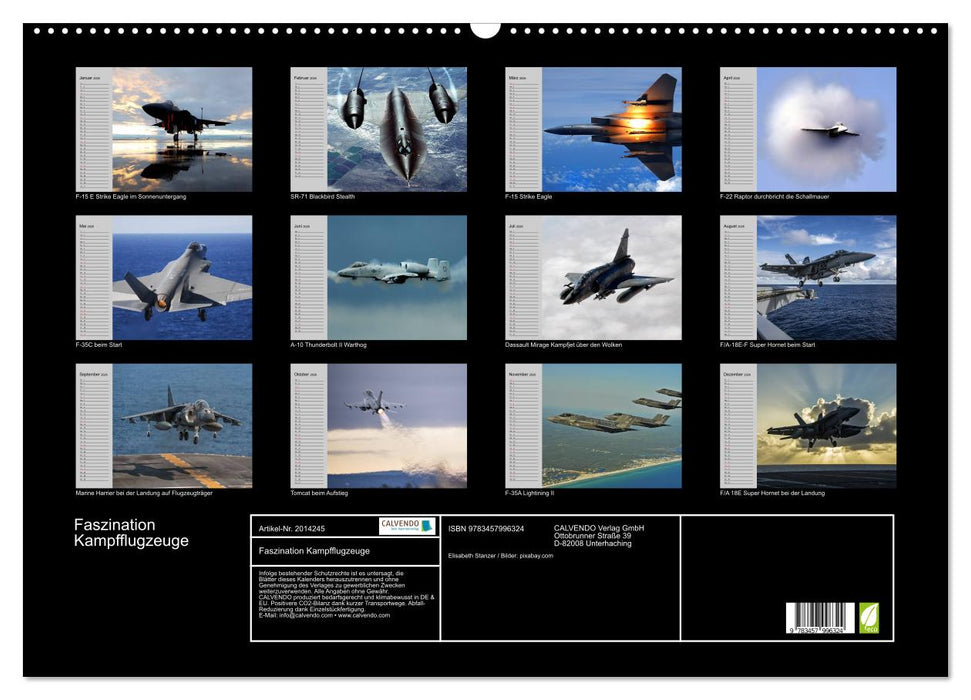 Faszination Kampfflugzeuge (CALVENDO Wandkalender 2026)