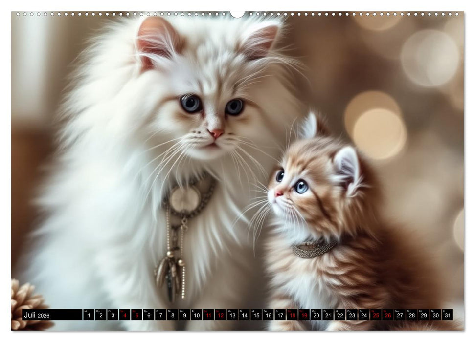 Katzenmomente (CALVENDO Premium Wandkalender 2026)