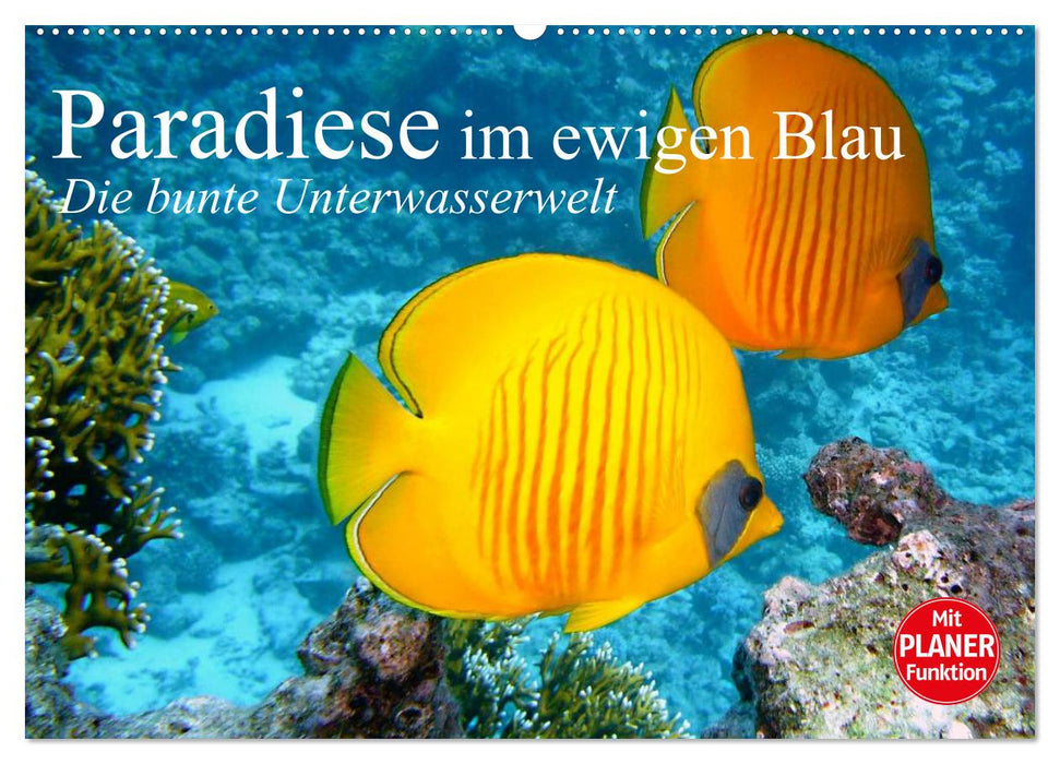 Paradiese im ewigen Blau. Die bunte Unterwasserwelt (CALVENDO Wandkalender 2026)