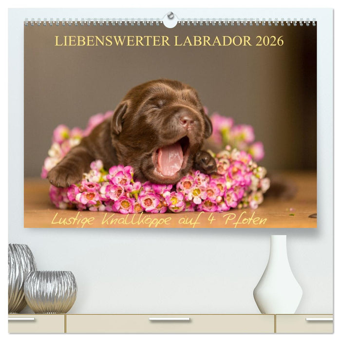 Liebenswerter Labrador 2026 (CALVENDO Premium Wandkalender 2026)