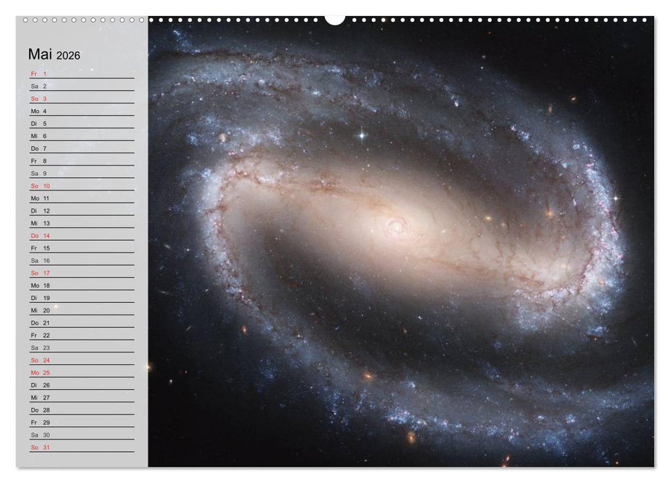 Universum. Farbenpracht der Gasnebel (CALVENDO Wandkalender 2026)