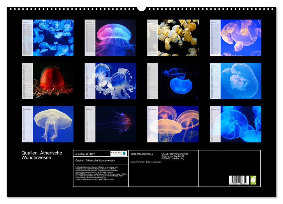 Quallen. Ätherische Wunderwesen (CALVENDO Wandkalender 2026)