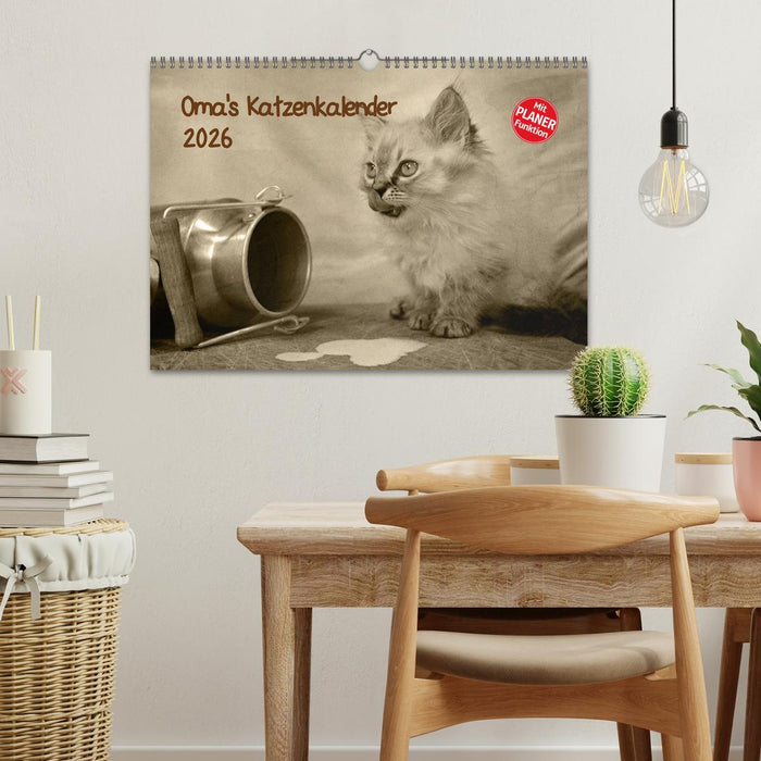 Oma's Katzenkalender 2026 (CALVENDO Wandkalender 2026)