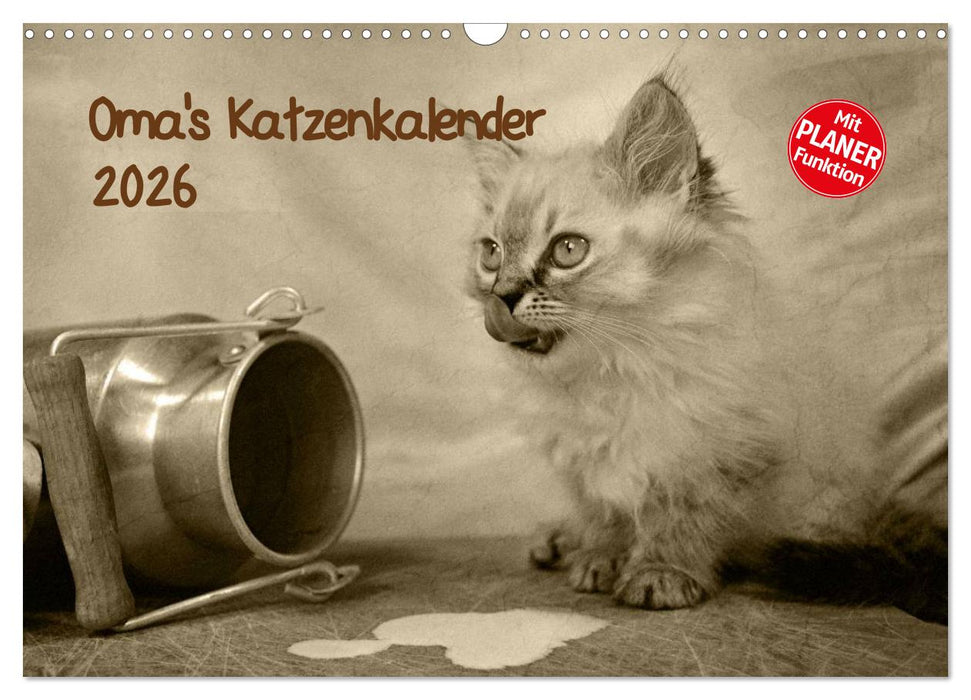Oma's Katzenkalender 2026 (CALVENDO Wandkalender 2026)