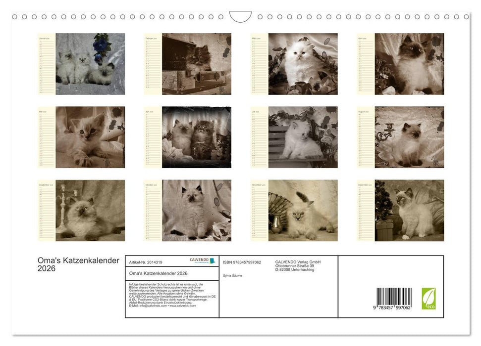 Oma's Katzenkalender 2026 (CALVENDO Wandkalender 2026)