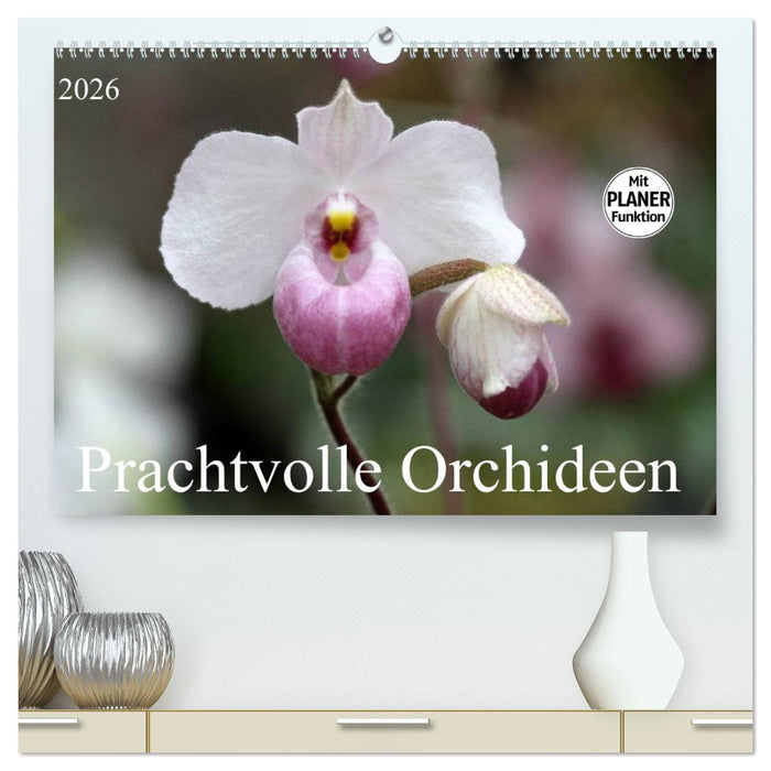 Prachtvolle Orchideen (CALVENDO Premium Wandkalender 2026)
