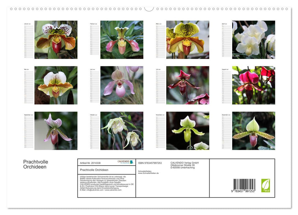 Prachtvolle Orchideen (CALVENDO Premium Wandkalender 2026)