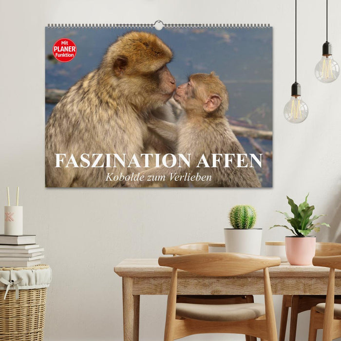 Faszination Affen. Kobolde zum Verlieben (CALVENDO Wandkalender 2026)