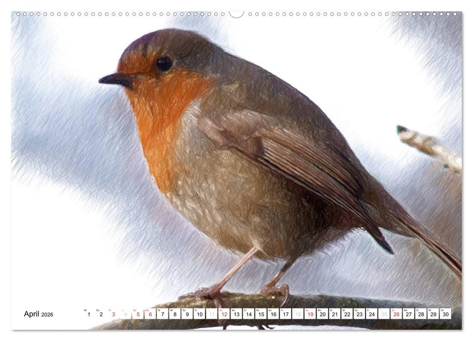 Schottlands Vogelwelt - Ein Porträt in Zeichnungen (CALVENDO Premium Wandkalender 2026)