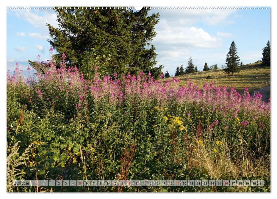 Südschwarzwald - Impressionen (CALVENDO Premium Wandkalender 2026)