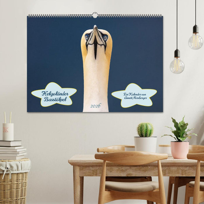Helgoländer Basstölpel 2026 (CALVENDO Wandkalender 2026)
