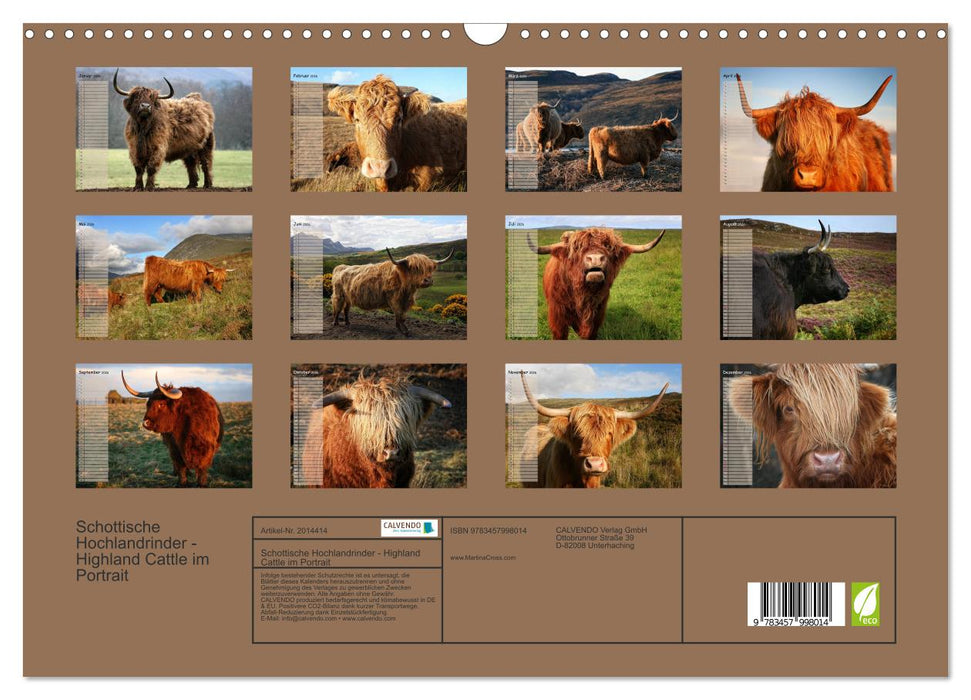Schottische Hochlandrinder - Highland Cattle im Portrait (CALVENDO Wandkalender 2026)