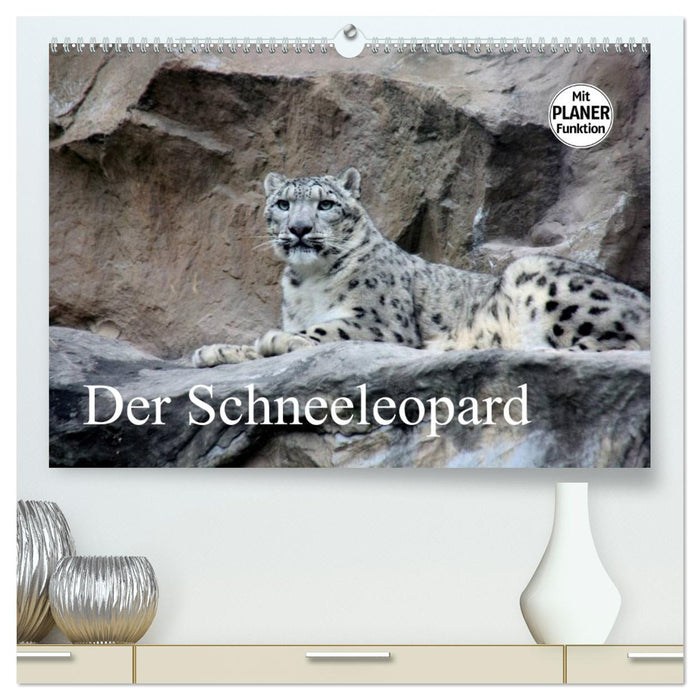 Der Schneeleopard (CALVENDO Premium Wandkalender 2026)