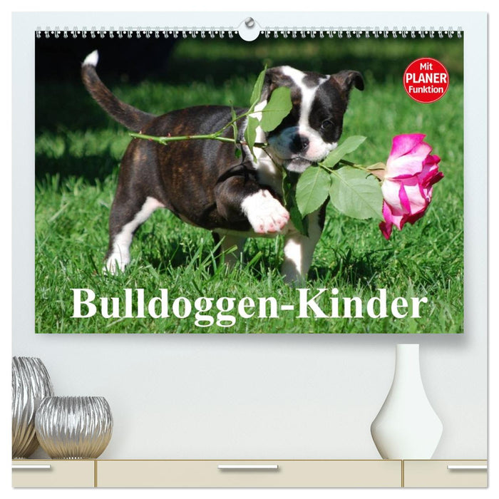 Bulldoggen-Kinder (CALVENDO Premium Wandkalender 2026)