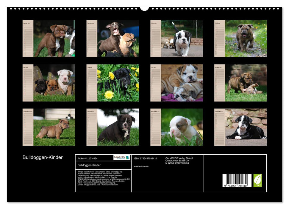 Bulldoggen-Kinder (CALVENDO Premium Wandkalender 2026)