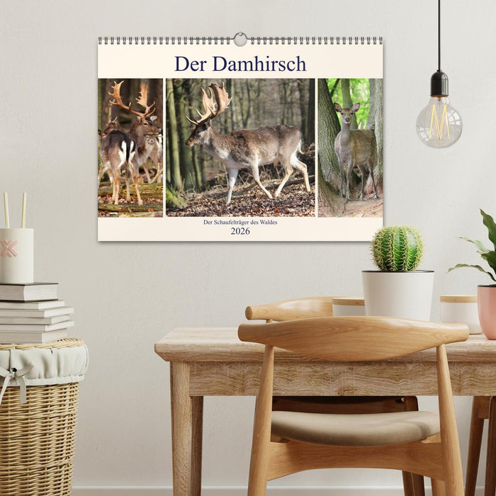 Der Damhirsch - Der Schaufelträger des Waldes (CALVENDO Wandkalender 2026)