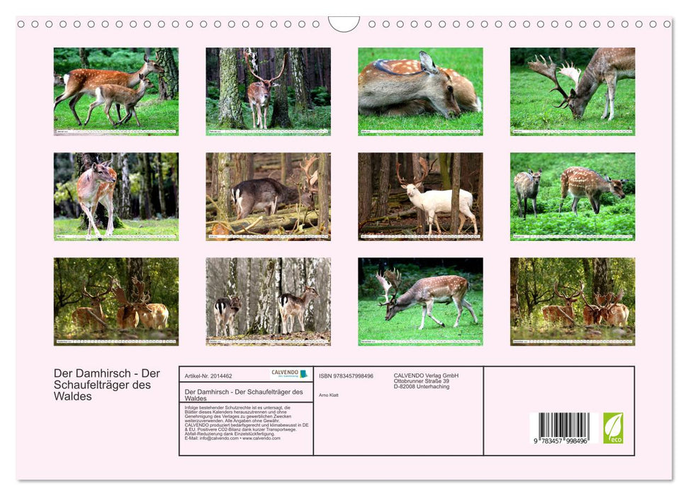 Der Damhirsch - Der Schaufelträger des Waldes (CALVENDO Wandkalender 2026)