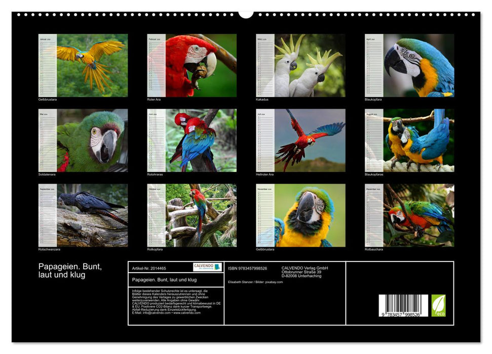 Papageien. Bunt, laut und klug (CALVENDO Premium Wandkalender 2026)